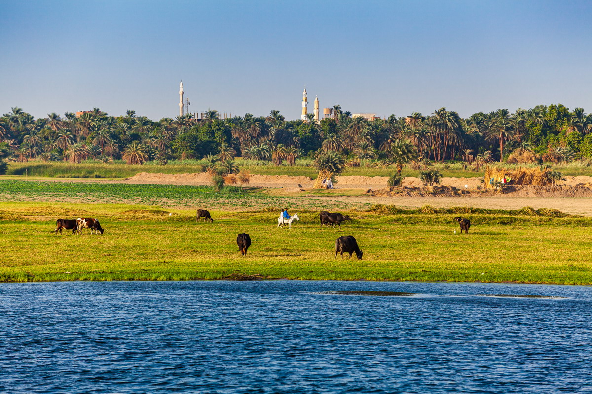 Crociere sul Nilo: un’esperienza unica tra storia e relax